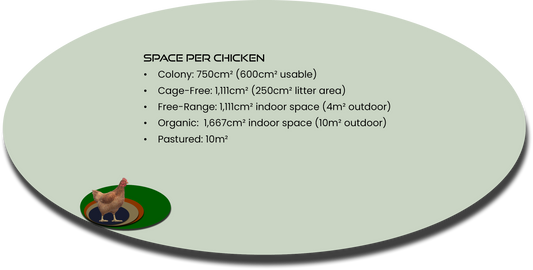 Pasture Raised Eggs